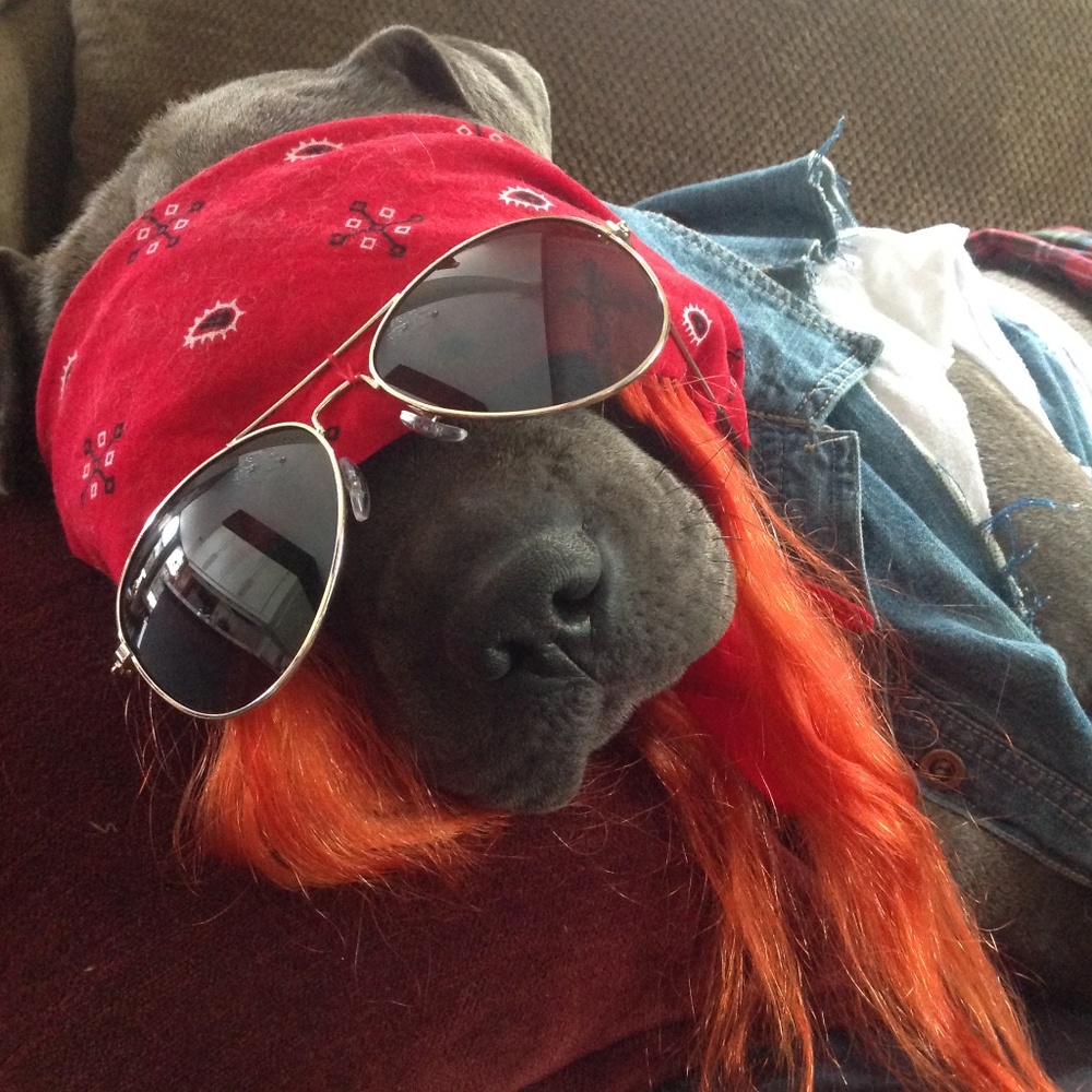 Meet your Posher, Ling